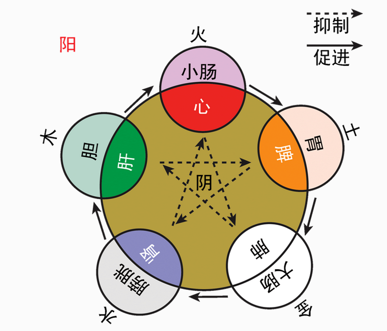 八字命理入门基础知识「方便初学」