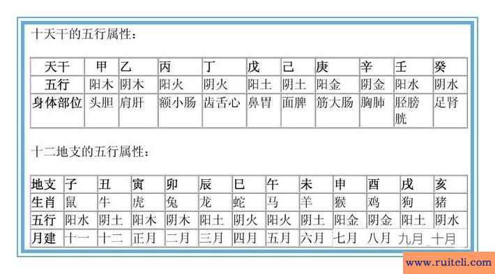 南方八字(南方八字排盘软件下载)