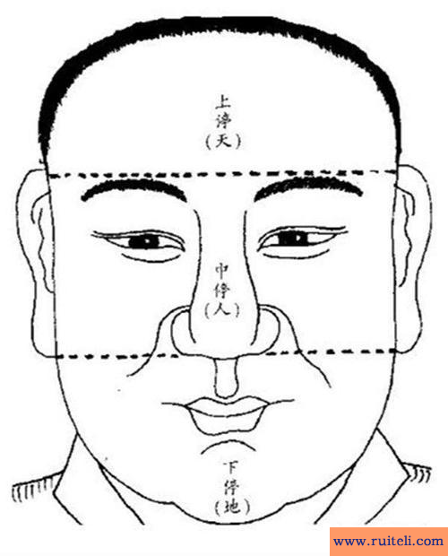 三才指的是什么