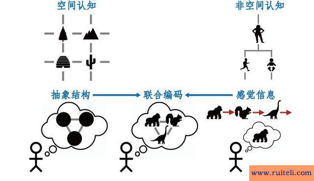 触类旁通