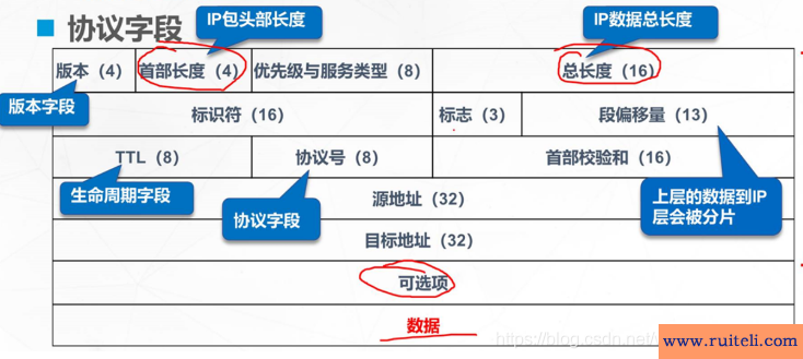 arp是什么意思(sharp是什么意思)