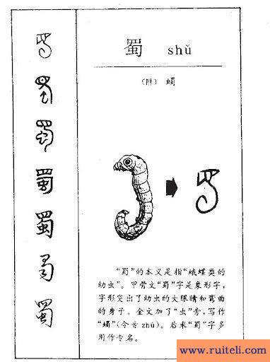 虫字旁的字有哪些(虫字旁的字有哪些组词)