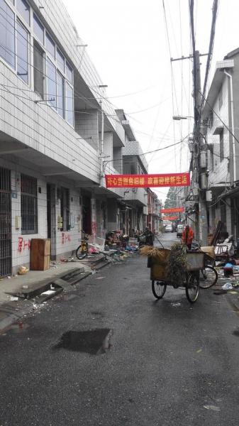 万人空巷是什么意思(万人空巷是什么意思解释一下)