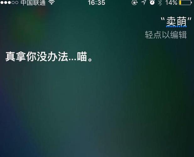 siri什么意思(siri什么意思中文)