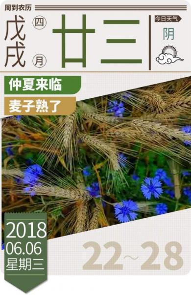 仲夏是指农历几月(仲夏是指农历几月份)