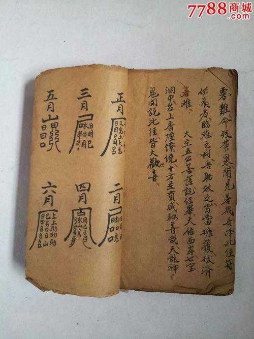 名字算卦(算命名字测试免费)