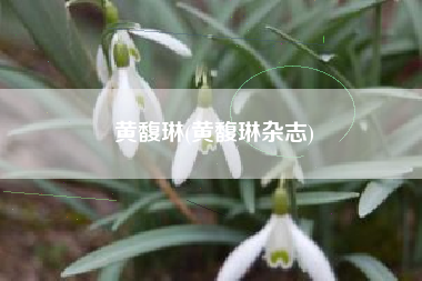 黄馥琳(黄馥琳杂志)