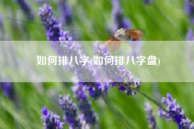 如何排八字(如何排八字盘)