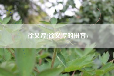 徐义淳(徐义淳的拼音)