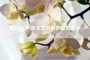 复姓名字(罕见又好听的复姓名字)