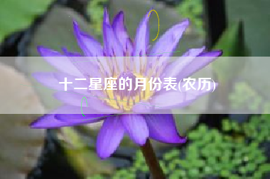 十二星座的月份表(农历)