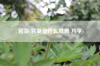 官枭(官枭是什么意思 八字)