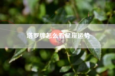 塔罗牌怎么看星座运势