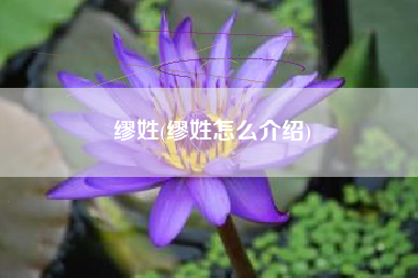 缪姓(缪姓怎么介绍)