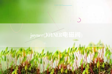 joyner(JOYNER电磁阀)