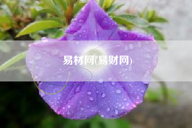 易材网(易财网)