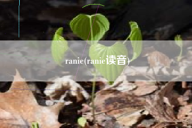 ranie(ranie读音)