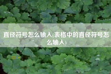 直径符号怎么输入(表格中的直径符号怎么输入)