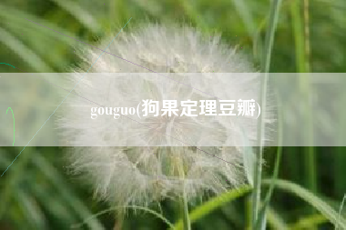 gouguo(狗果定理豆瓣)