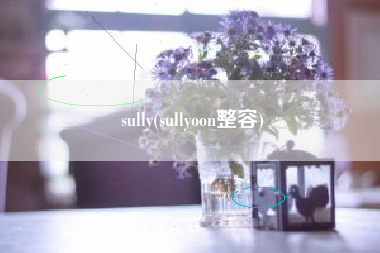 sully(sullyoon整容)