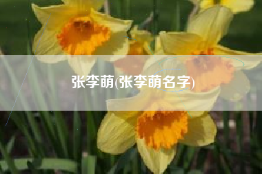 张李萌(张李萌名字)