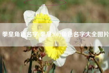 拳皇角色名字(拳皇2002角色名字大全图片)