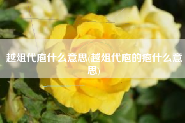 越俎代庖什么意思(越俎代庖的疱什么意思)