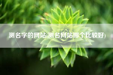 测名字的网站(测名网站哪个比较好)