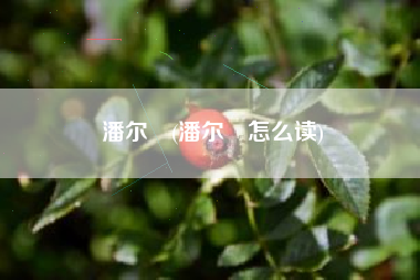 潘尔燊(潘尔燊怎么读)