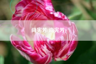 尚宪芳(尚宪芳)