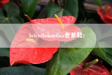 belen(belenciaca老爹鞋)