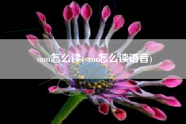 sam怎么读(sam怎么读语音)