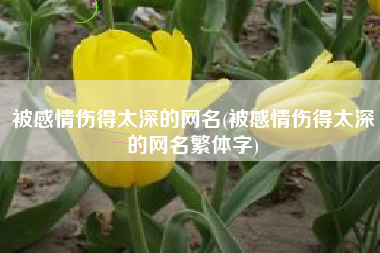 被感情伤得太深的网名(被感情伤得太深的网名繁体字)