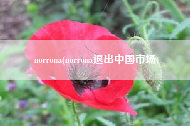 norrona(norrona退出中国市场)