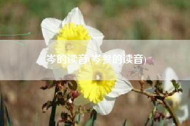 岑的读音(岑参的读音)