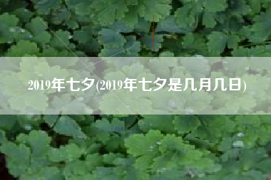 2019年七夕(2019年七夕是几月几日)