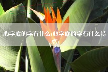 心字底的字有什么(心字底的字有什么特点)