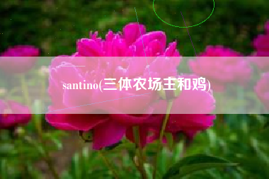 santino(三体农场主和鸡)