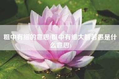 粗中有细的意思(粗中有细大智若愚是什么意思)