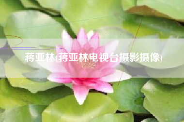 蒋亚林(蒋亚林电视台摄影摄像)