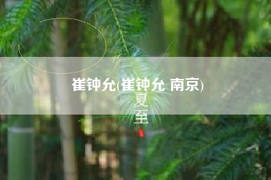 崔钟允(崔钟允 南京)