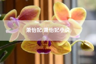 萧怡妃(萧怡妃小说)