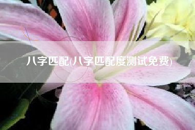 八字匹配(八字匹配度测试免费)