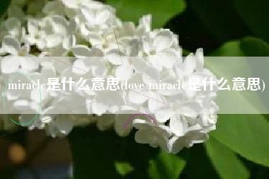 miracle是什么意思(love miracle是什么意思)