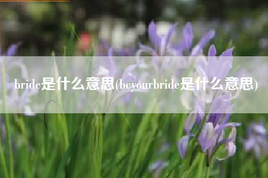 bride是什么意思(beyourbride是什么意思)