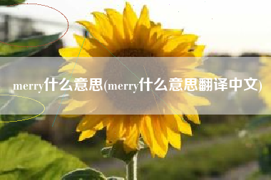 merry什么意思(merry什么意思翻译中文)