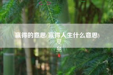 赢得的意思(赢得人生什么意思)