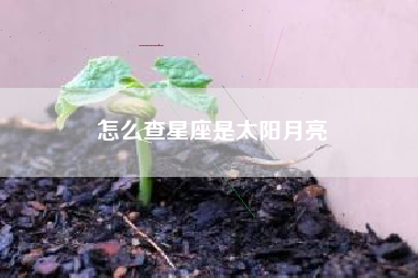 怎么查星座是太阳月亮