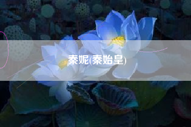 秦妮(秦始皇)