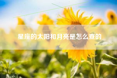 星座的太阳和月亮是怎么查的